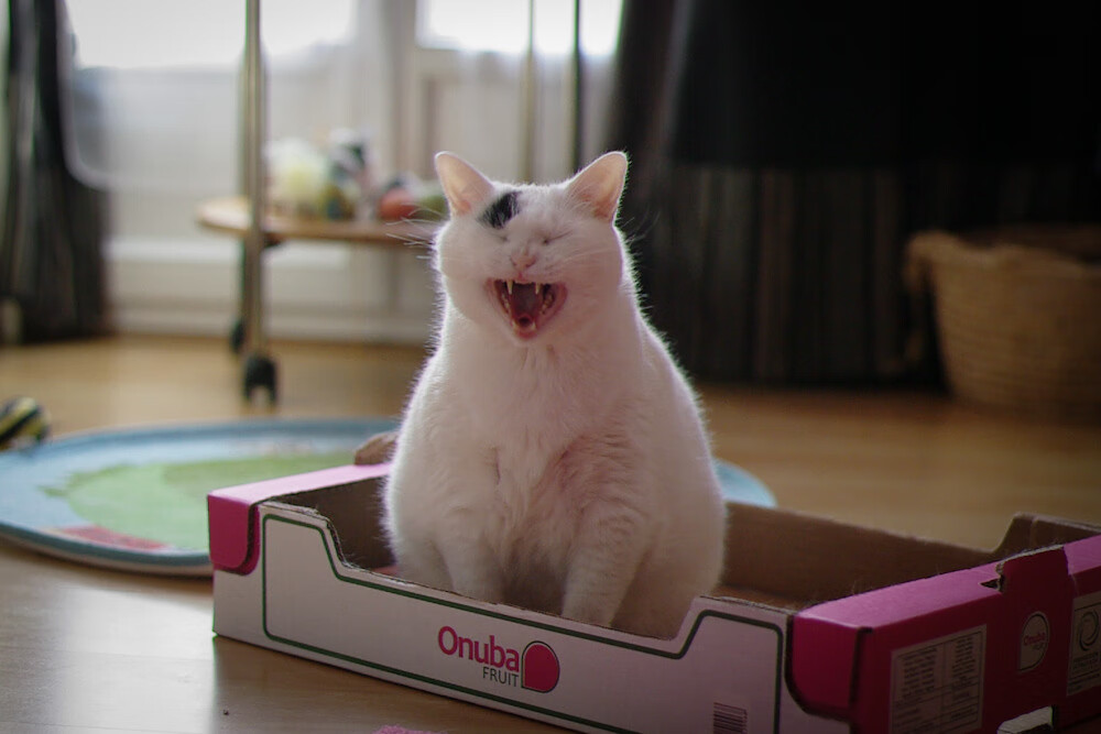 随机逆境突围：球队如何在落后时实现追分，逆境中突围