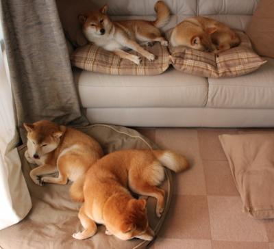 九游娱乐官网 (JIUYOU)-战术调整获得成功，球队实力得到提升，球队战术怎么设置