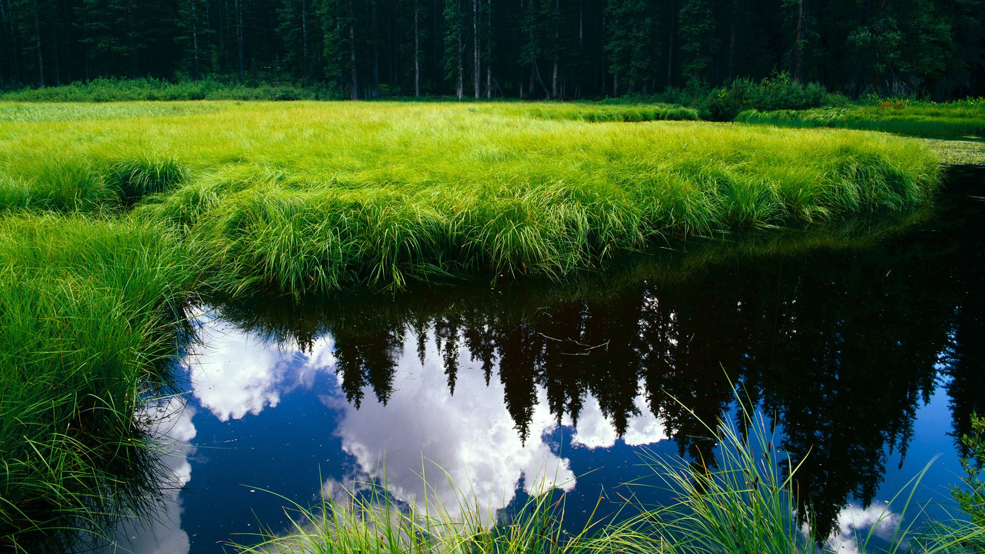 九游app官网下载-斯洛伐克负北爱尔兰，欧洲国家联赛面临考验，斯洛伐克 欧盟