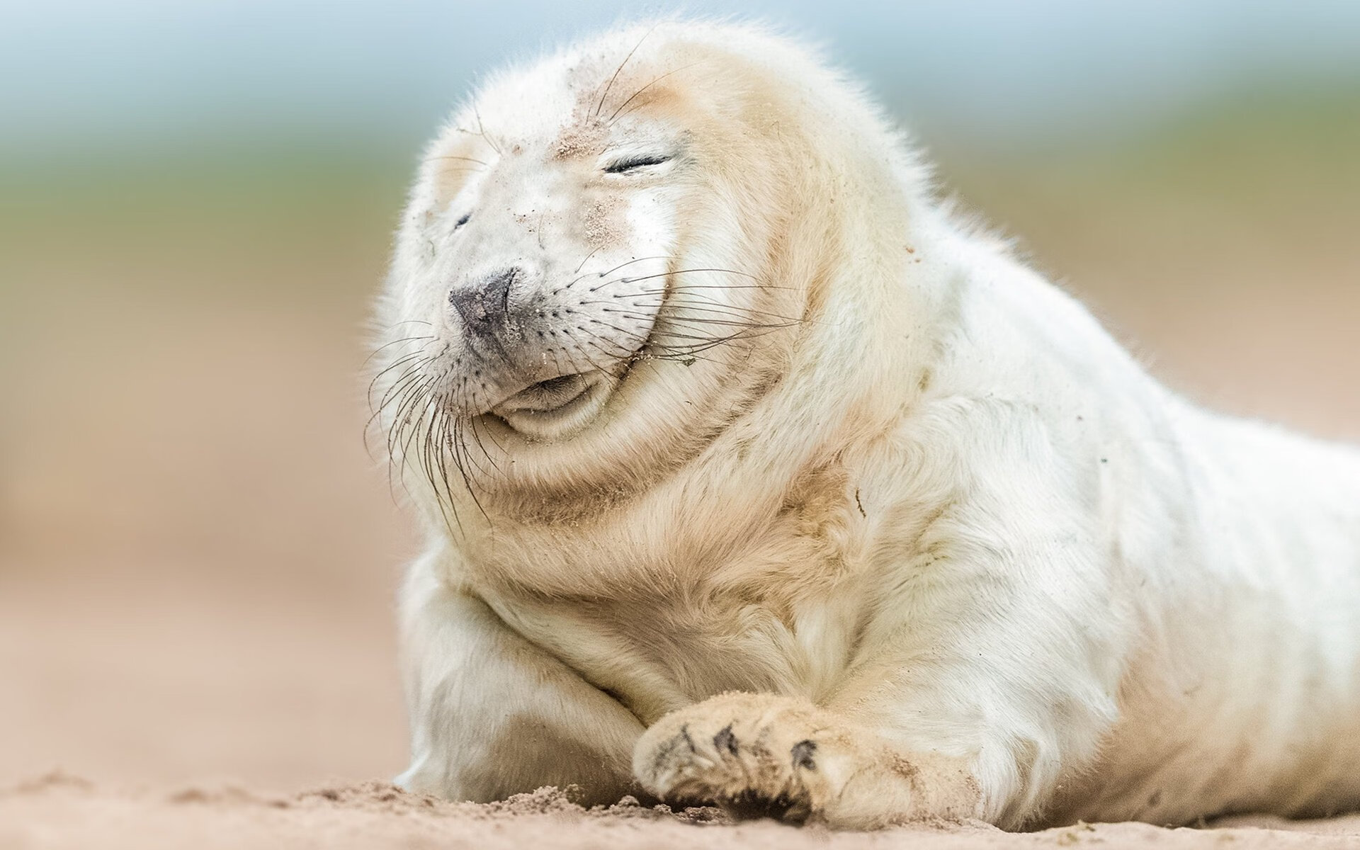 JiuyouAPP下载-江苏苏宁对上天津泰达,千钧一发的胜负归属如何?,苏宁vs泰达足协杯