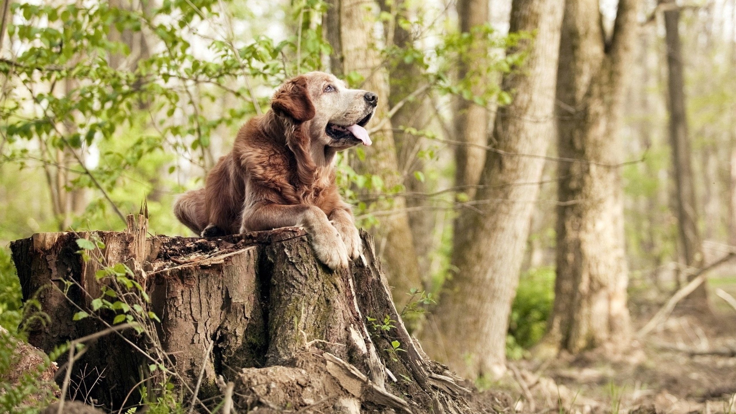 九游下载中心-赛场再起风云，女足比赛瞬间惊艳亮相，女足全场集锦