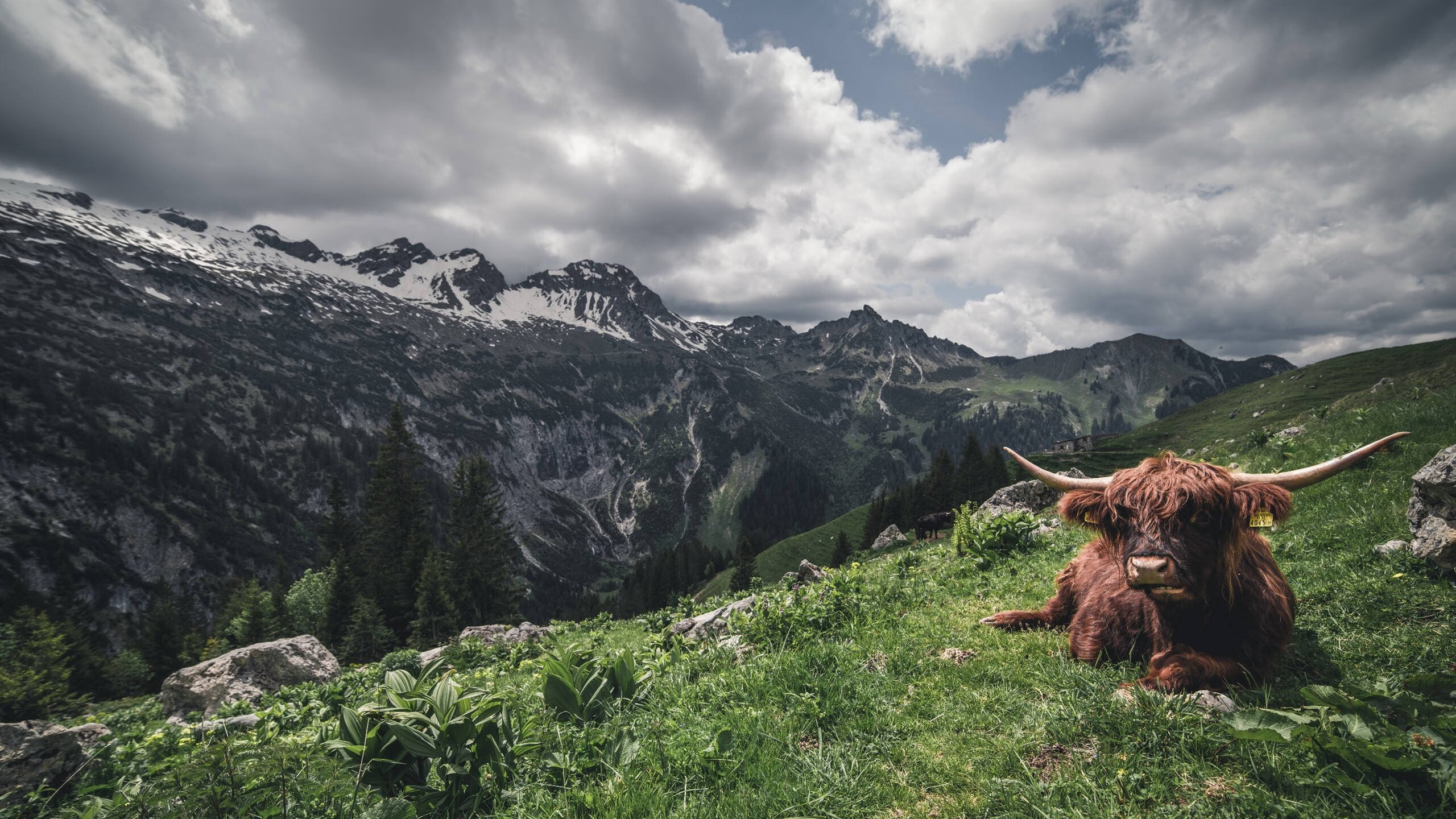详细阅读:九游sports-体育新闻中心发布体育视频内容智能剪辑工具,体育视频剪辑素材网站 九游sports-体育新闻中心发布体育视频内容智能剪辑工具,体育视频剪辑素材网站