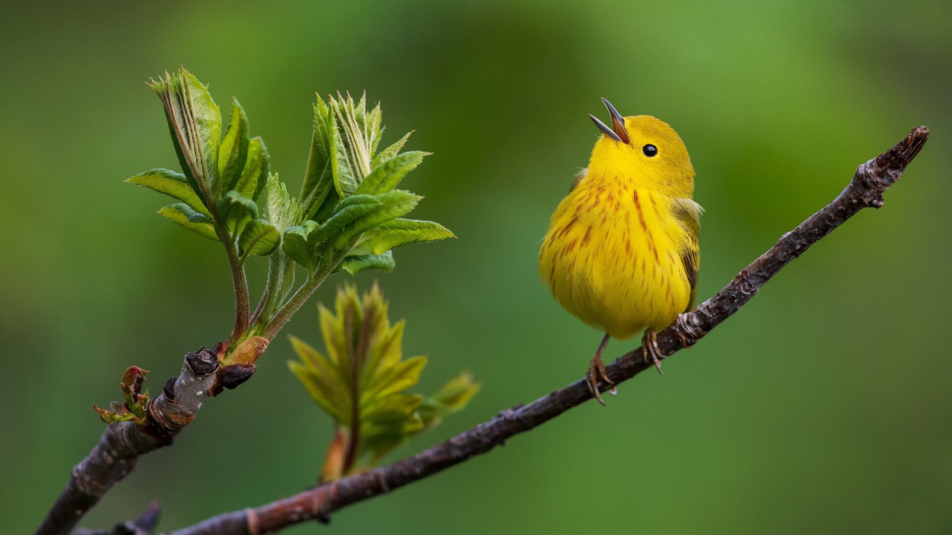 九游app官网下载-冰壶训练营青少年组首次增设体能项目，冰壶 训练
