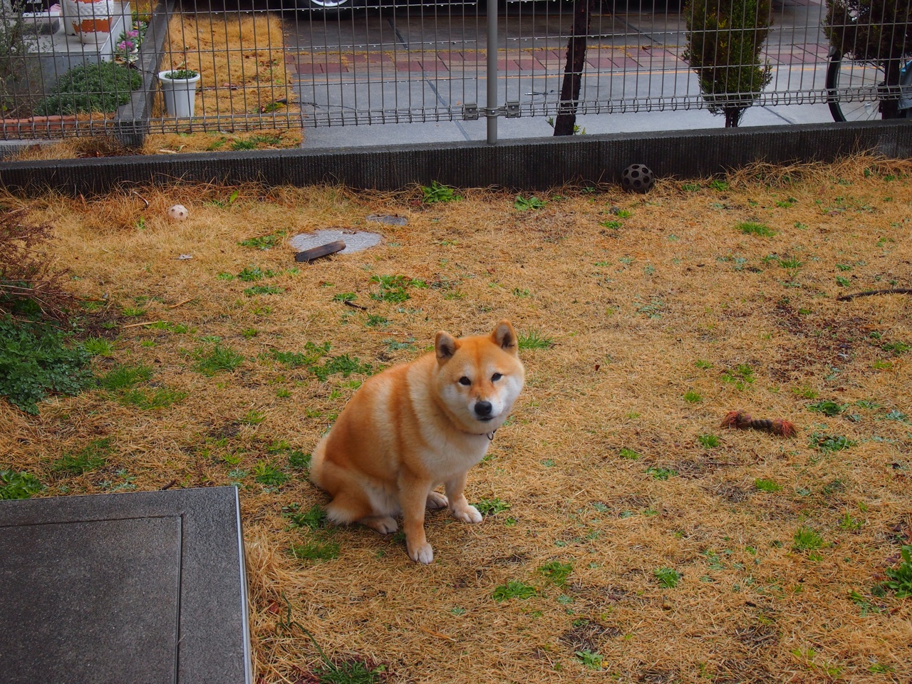 九游sports-欧战赛场五大联赛球队整体表现解析，五大联赛欧战积分规则