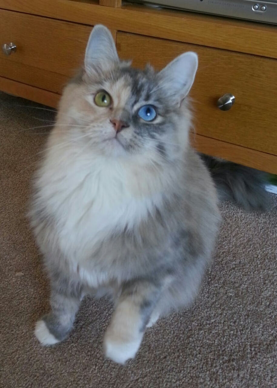 九游游戏中心-乔治·巴尔:他是全黑队防守和进攻的“双面战士”,每次比赛都充满精彩表现