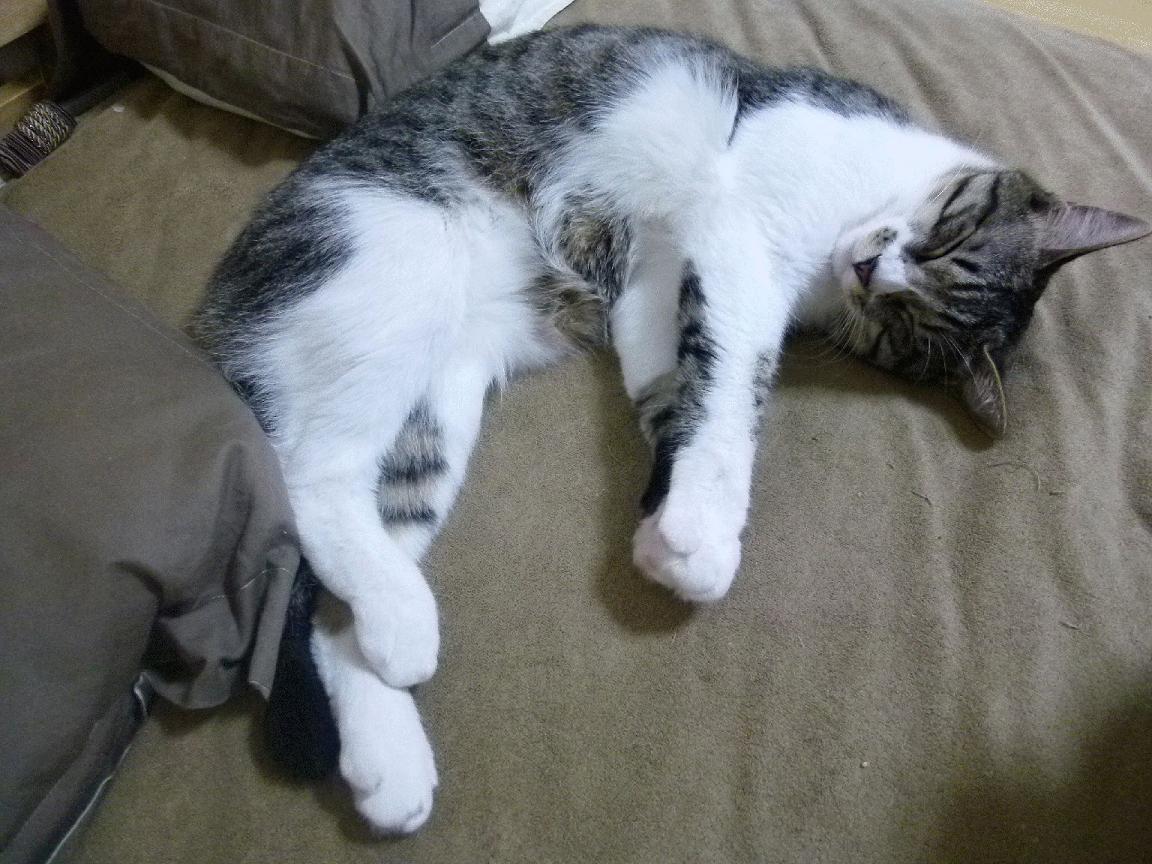 九游网页版官网-尼克斯第二节得分暴涨打出绝佳开局，尼克斯首轮前两场比赛门票售罄