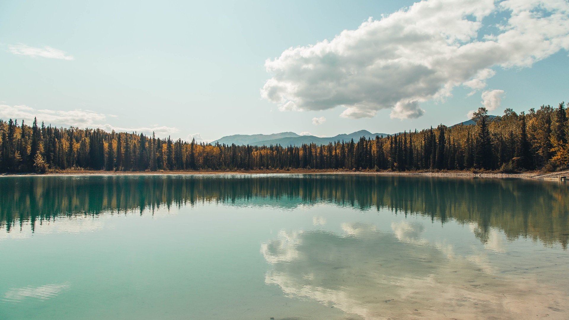 九游游戏中心-橄榄球冠军锦标赛:南半球四队实力互补,竞争激烈,2020橄榄球