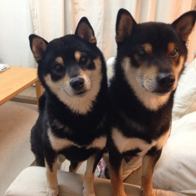 九游登录中心-连云港篮球队在国际邀请赛中大放异彩，展现崭新实力，连云港 篮球