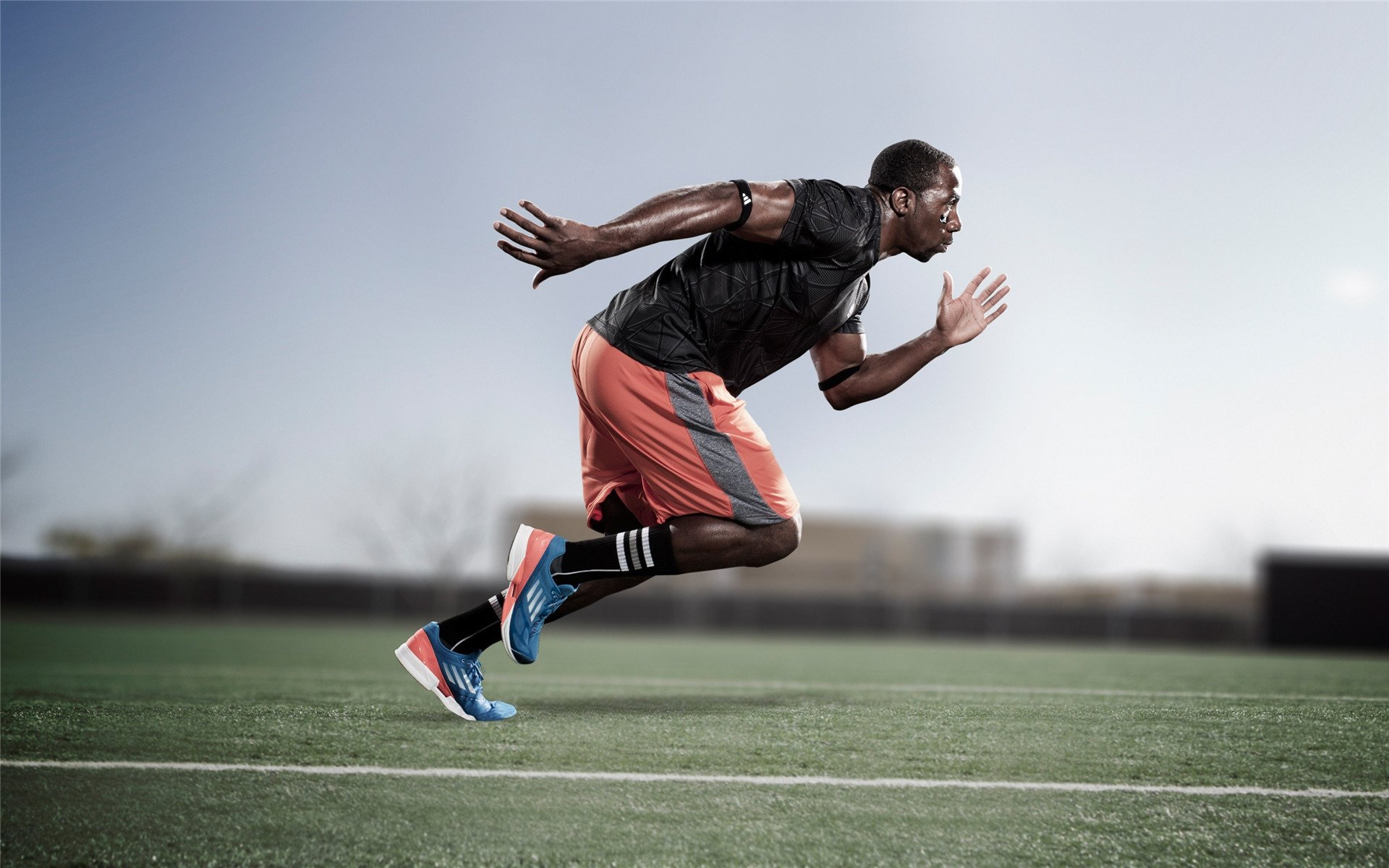 _草地之王：在温布尔登赢得冠军的秘密_，草地之王是谁